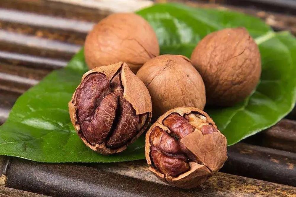 Adakah Anda Masih Bimbang Tentang A16 Memukul Pokok Buah-buahan?
